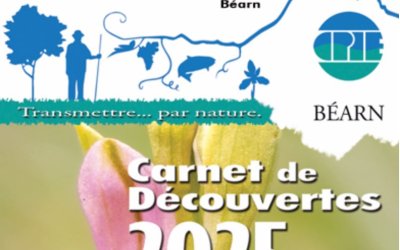 Sorties nature proposées par le CPIE